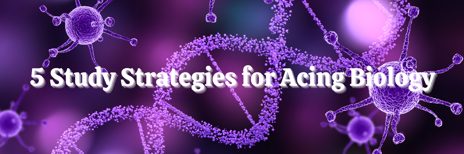 5 Study Strategies for Acing Biology – AdaMarie Jewelry