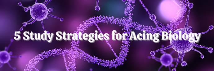 5 Study Strategies for Acing Biology