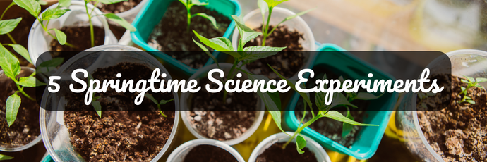 5 Springtime Science Experiments